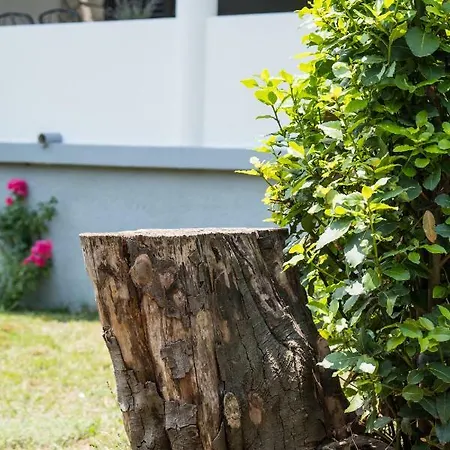 Mirta Holiday home