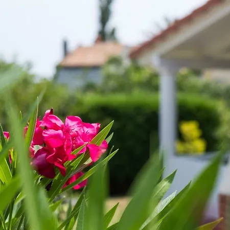 Mirta Holiday home Nerezine