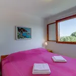Mirta