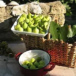 Casa de Férias Mirta *
