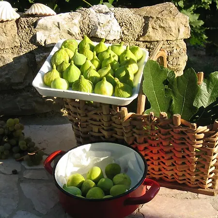 Casa vacanze Mirta *